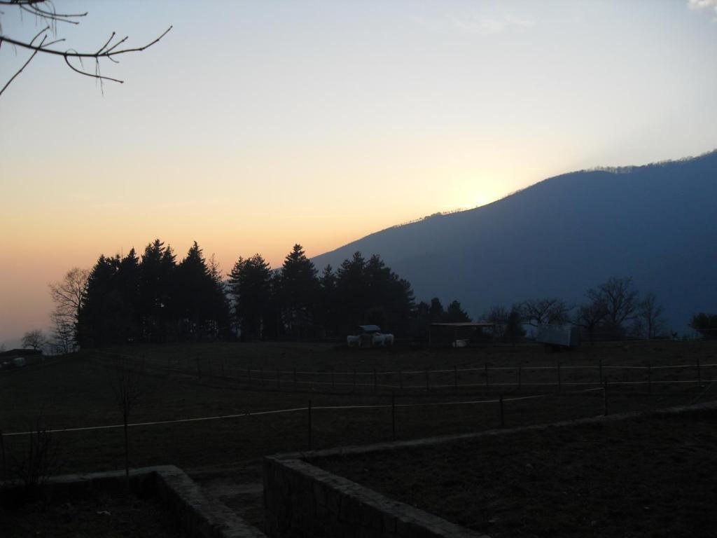 Agriturismo Le Vigne Willa Montale  Pokój zdjęcie