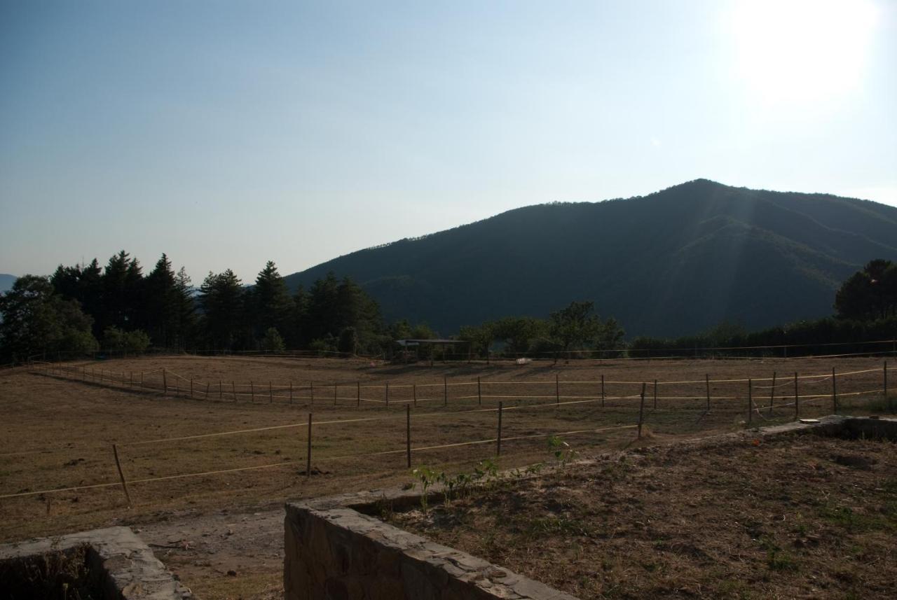 Agriturismo Le Vigne Willa Montale  Zewnętrze zdjęcie